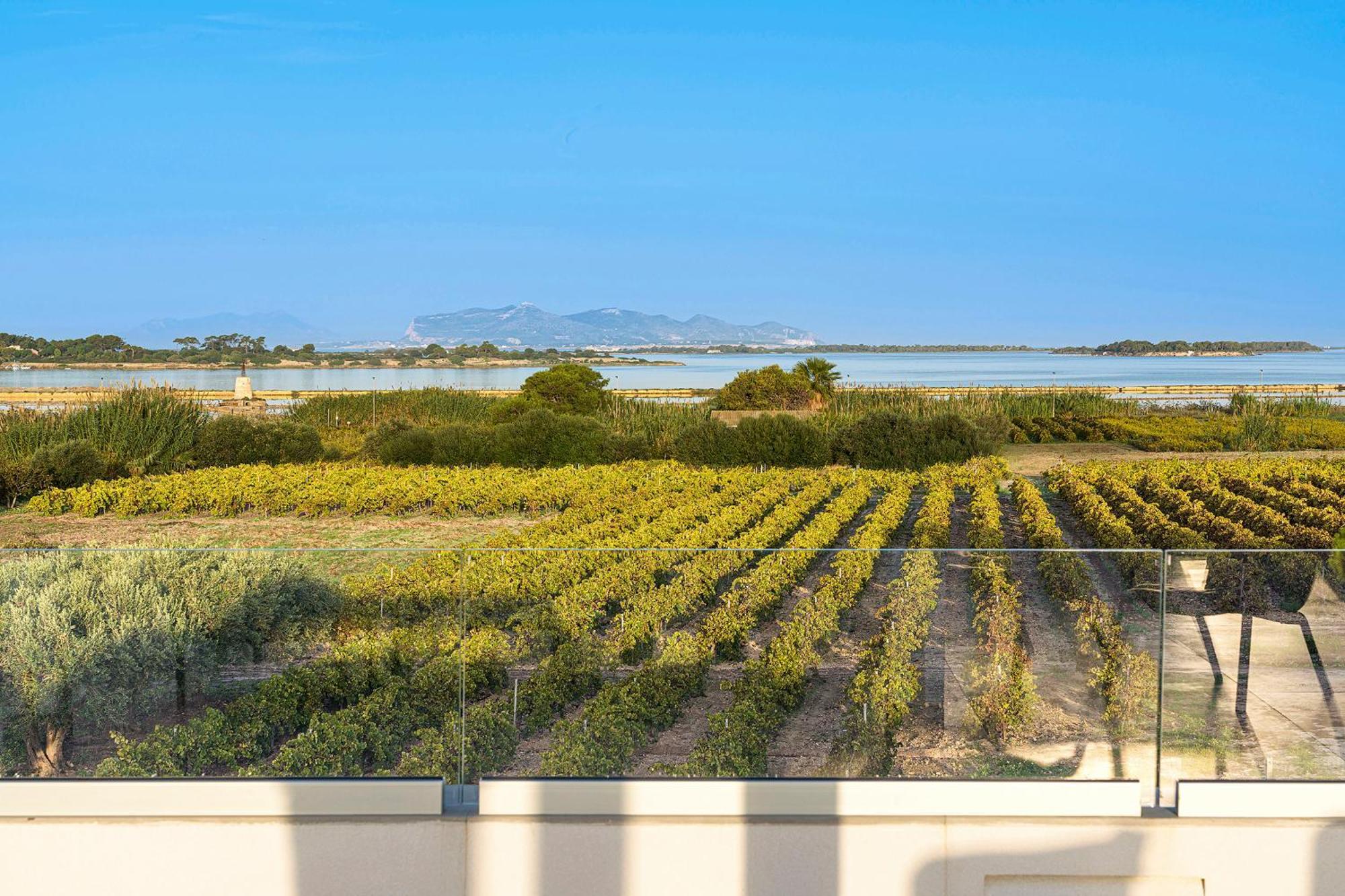 Martina'S Vineyard - Villa Марсала Экстерьер фото